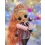 Lalka LOL Surprise OMG Winter Chill Big Wig 570264